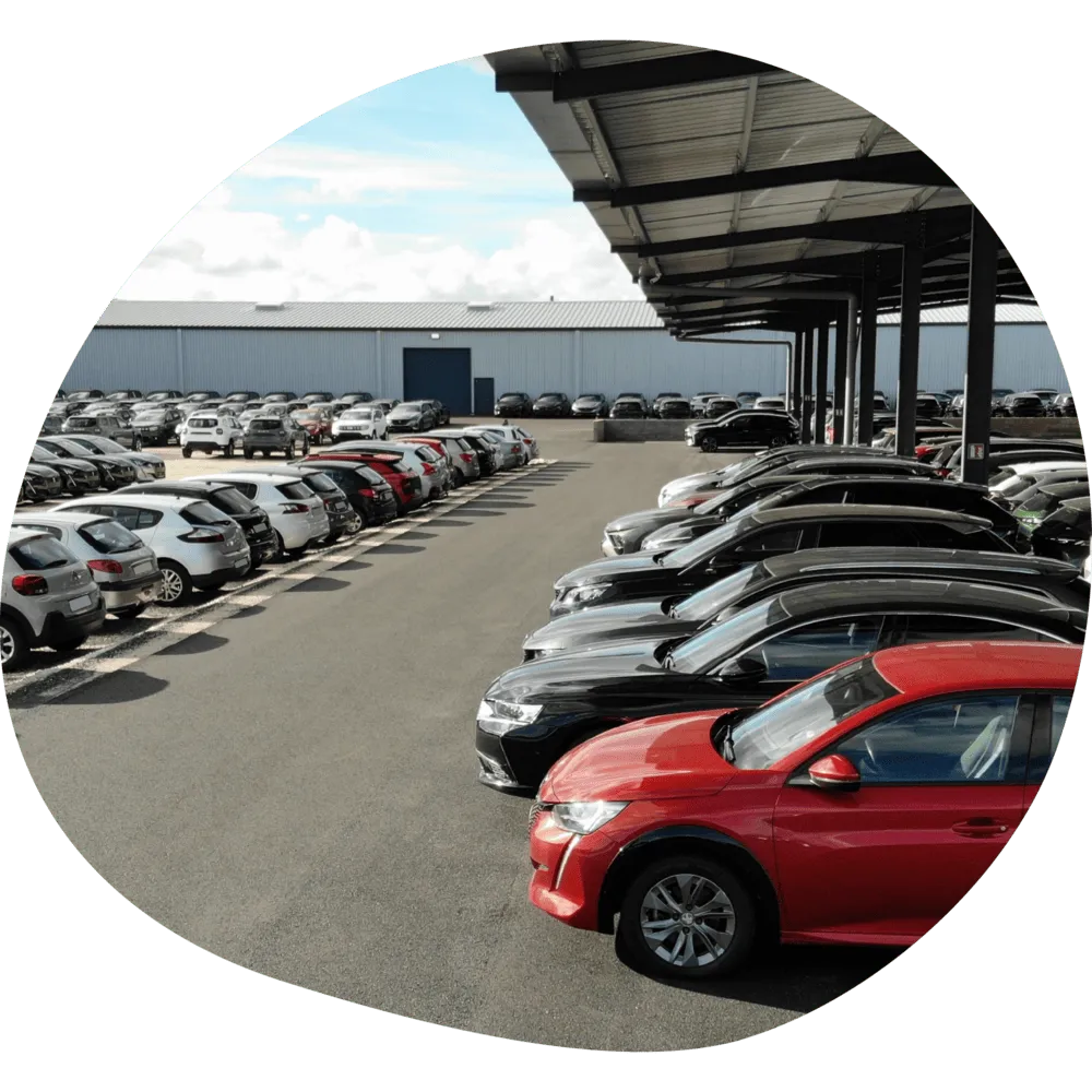 Parc automobile avec plus de 1500 v&eacute;hicules pour professionnels de l’automobile